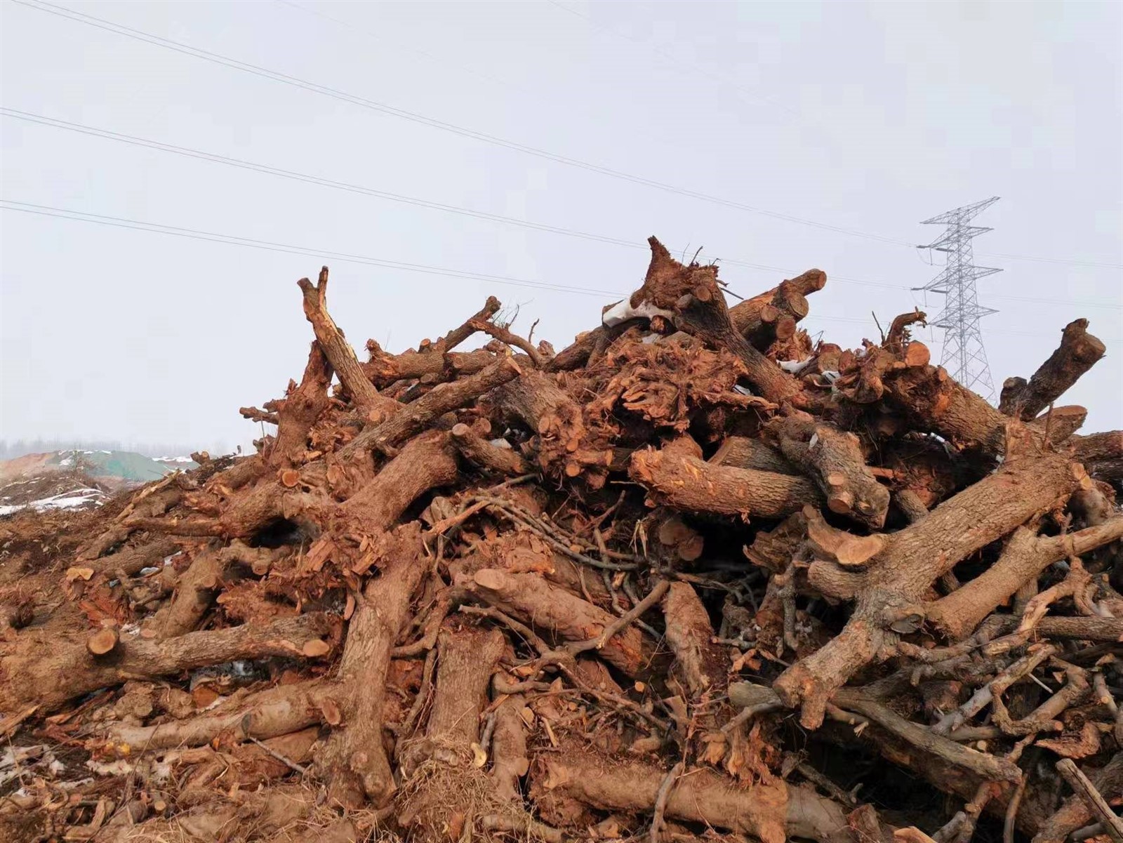 fruit wood fruit wood